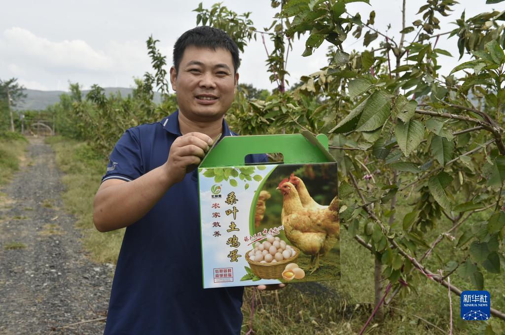 捕鱼大亨游戏